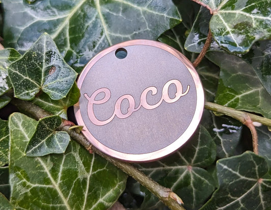 Name Design - Bark'n'Tag