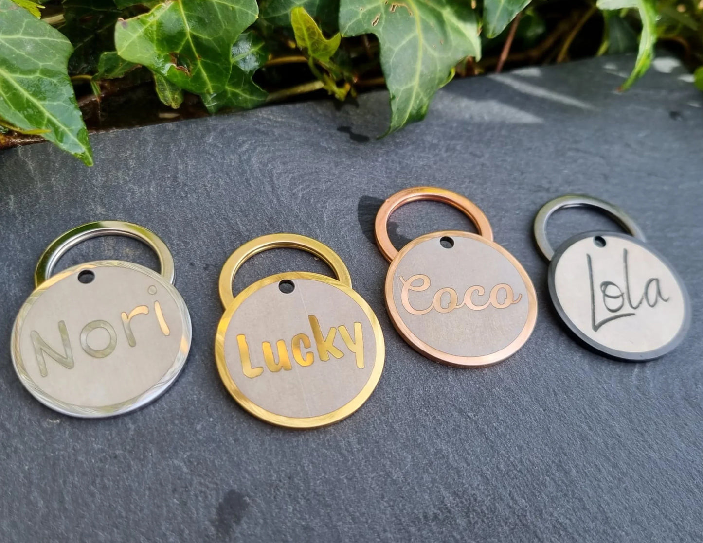 Name Design - Bark'n'Tag