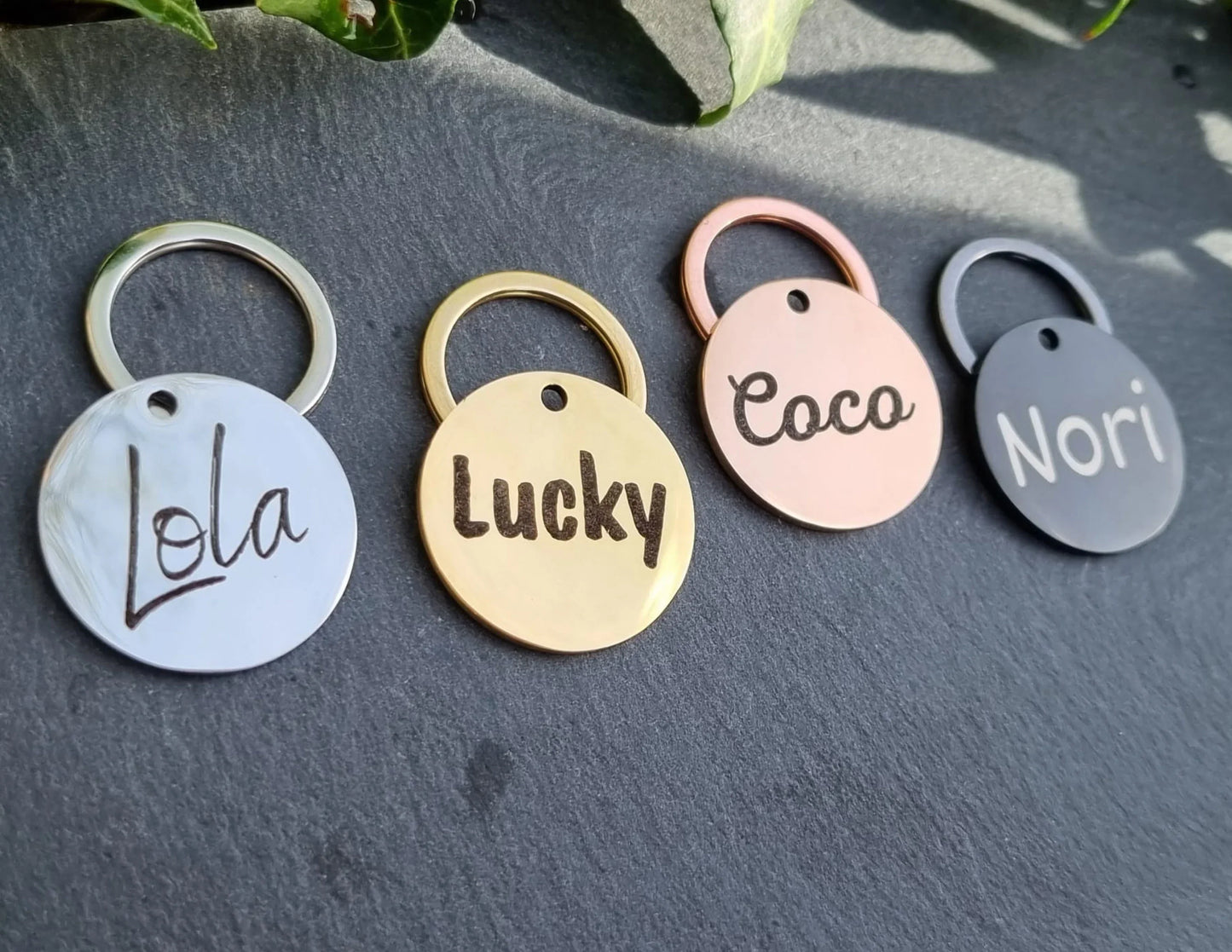 Simple Name Design - Bark'n'Tag