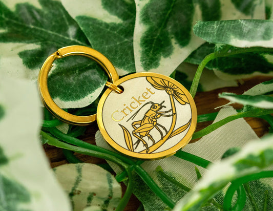 Cricket Design - Bark'n'Tag