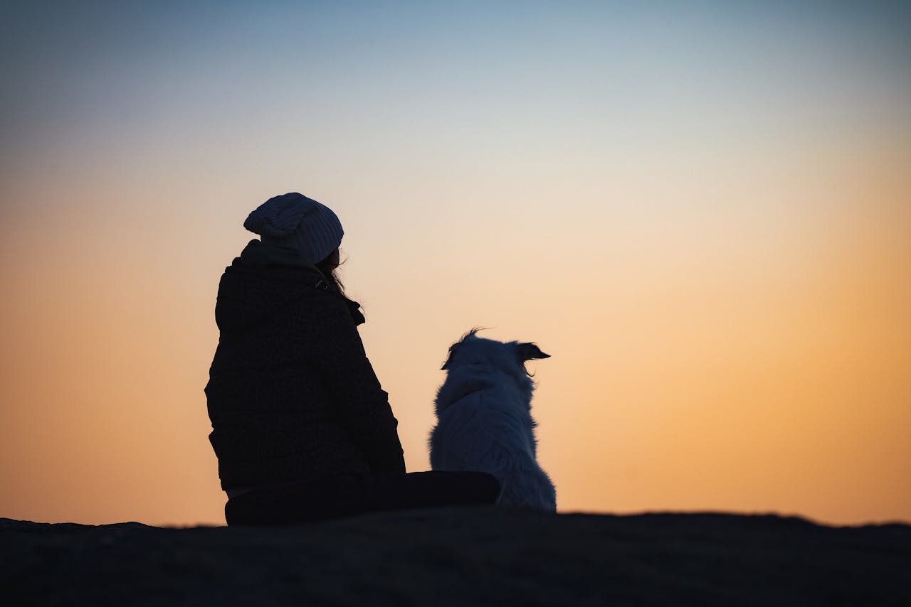 Eleganter Hund im warmen Licht – die schönsten afrikanischen Hundenamen mit Bedeutung