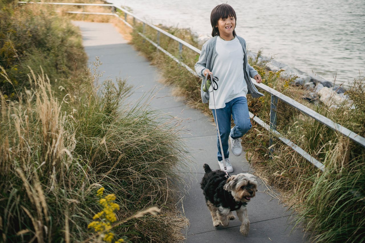 Fröhlicher Hund im Sommer – die besten Frucht-Hundenamen von Mango bis Peach