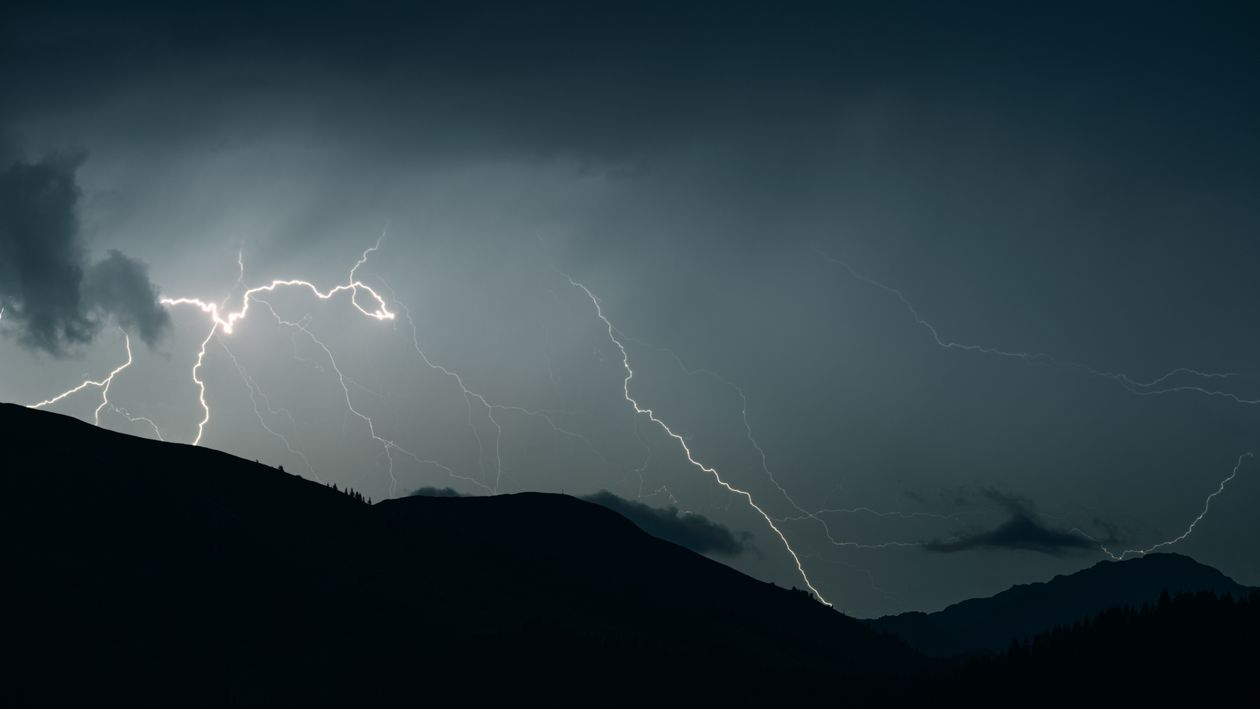 Dog Afraid of Thunderstorms & Fireworks: What Really Helps