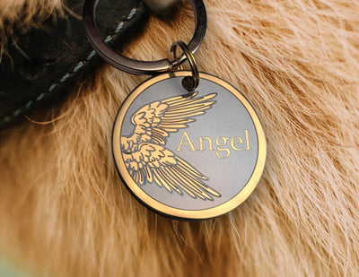 Angel Design
