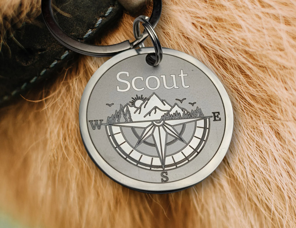 Scout Design