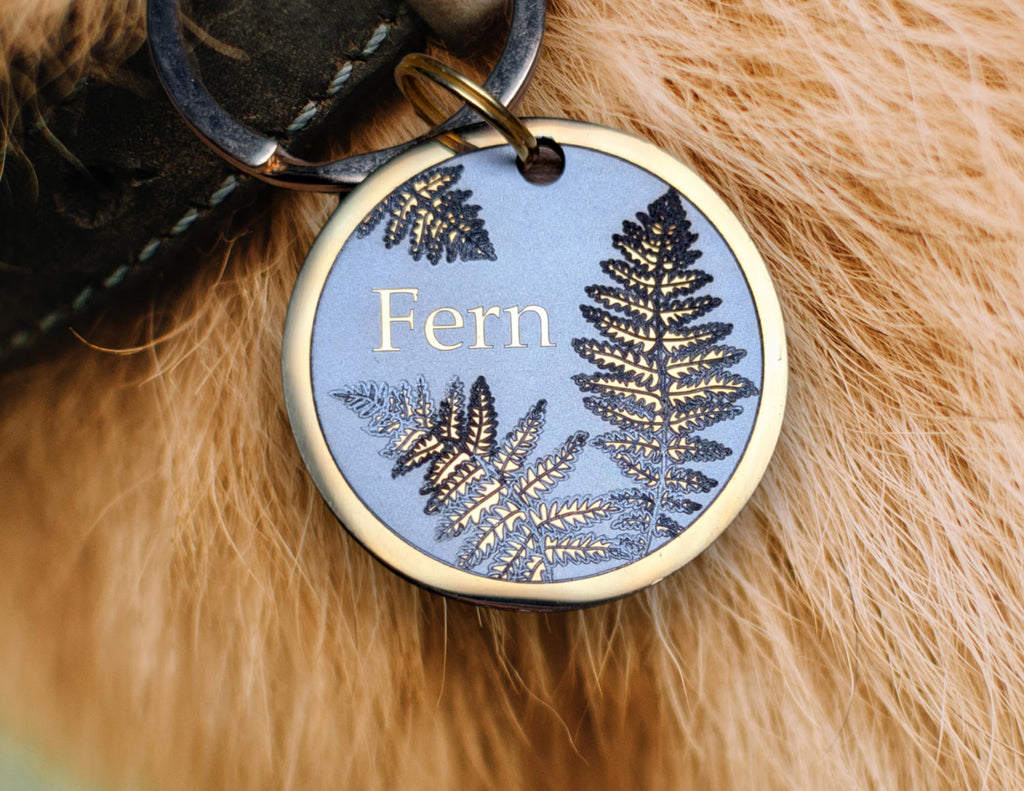 Farn + Schmetterling Bundle