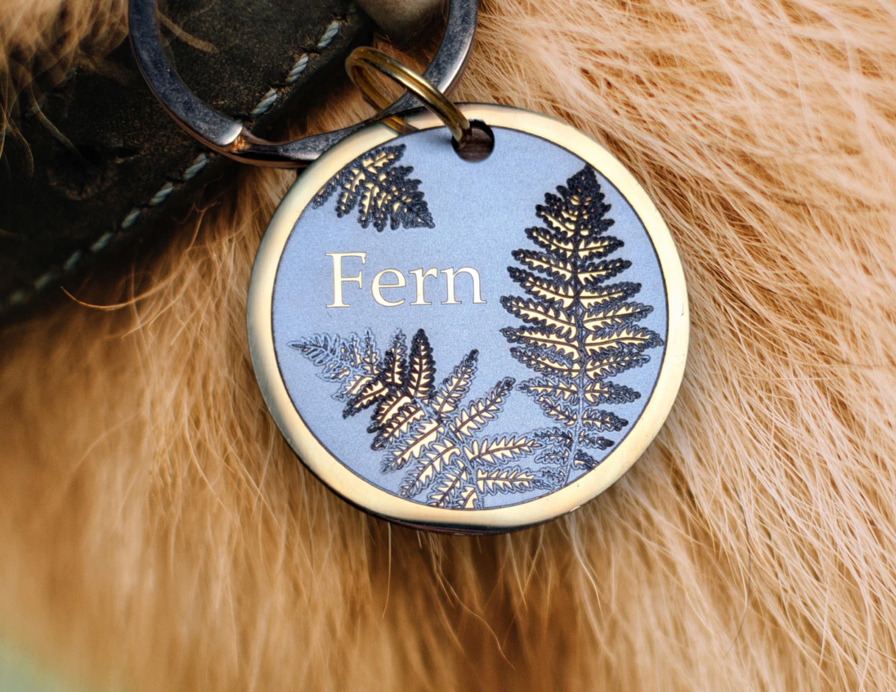Farn + Schmetterling Bundle