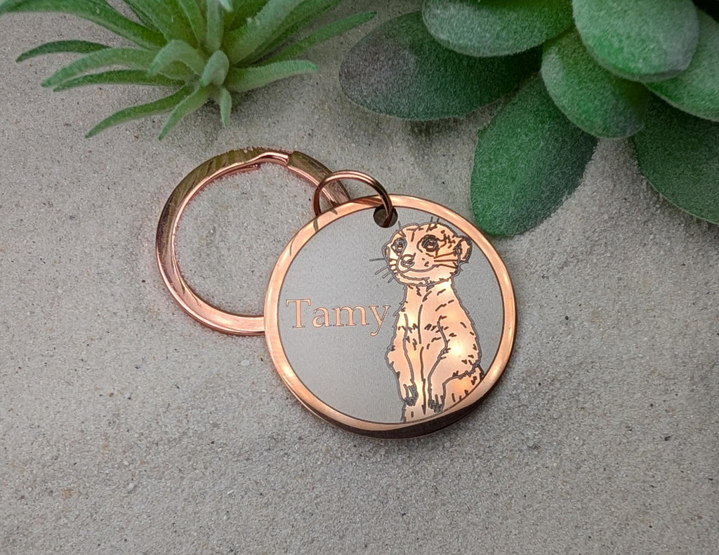 Meerkat Design