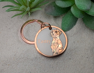 Meerkat Design