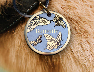 Butterfly Design