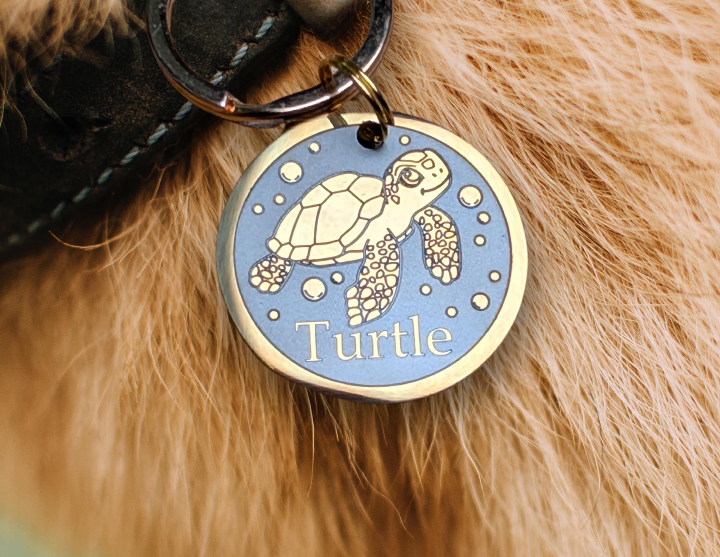 Schildkröten Design