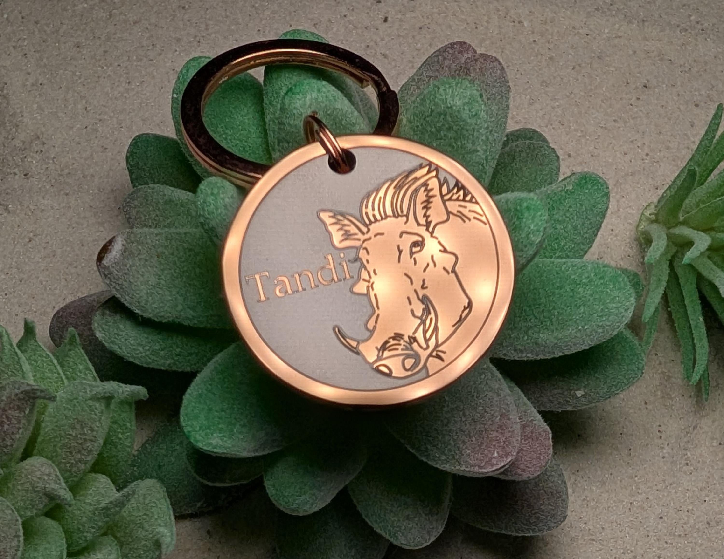 Warthog & Meerkat Bundle