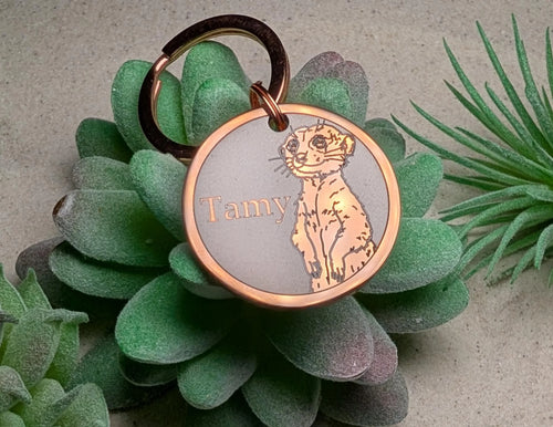 Meerkat Design