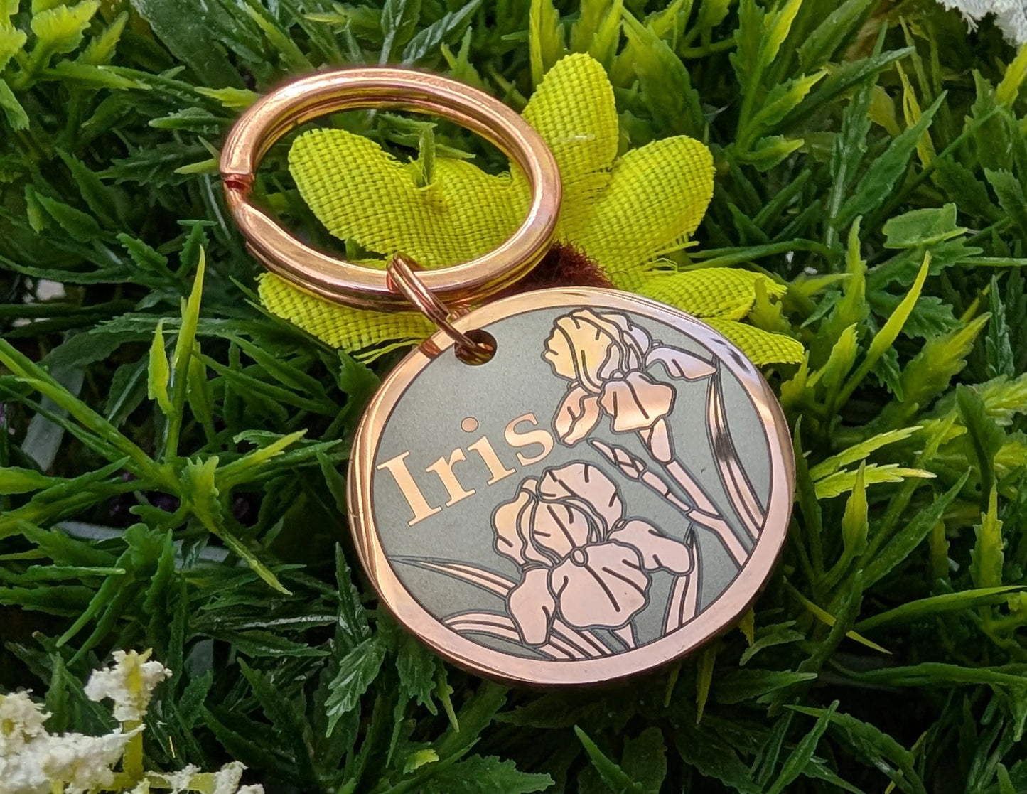 Iris Design - Bark'n'Tag