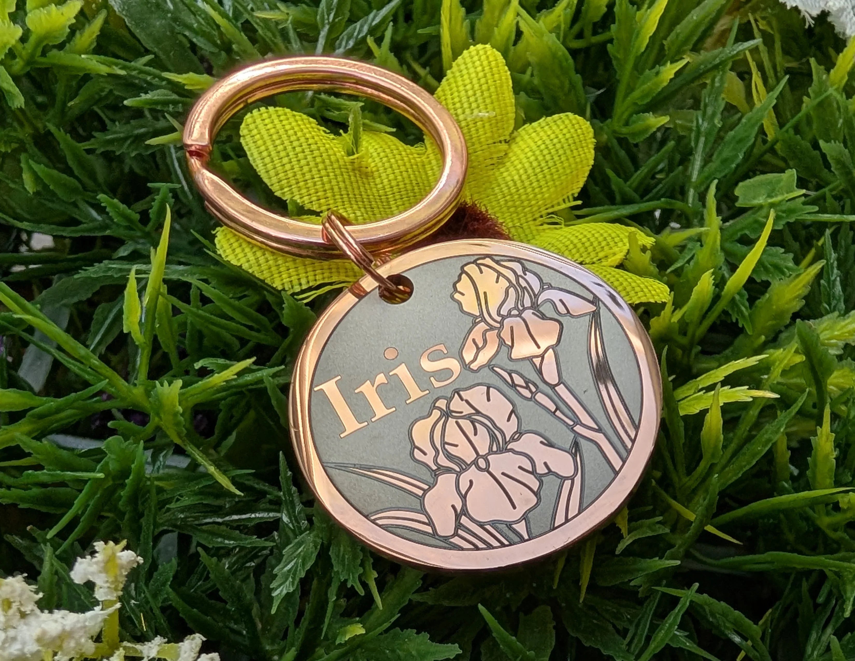 Iris Design - Bark'n'Tag