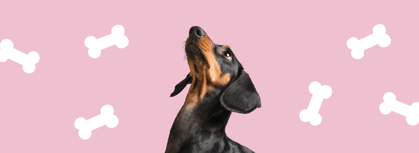 Contact Us.png__PID:ae2be63e-7ed8-4291-9c36-632633a5244b