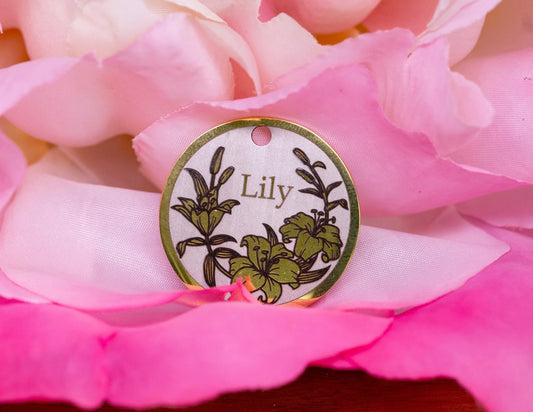 Lily Design - Bark'n'Tag