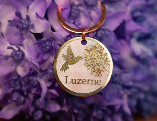 Hummingbird Design - Bark'n'Tag