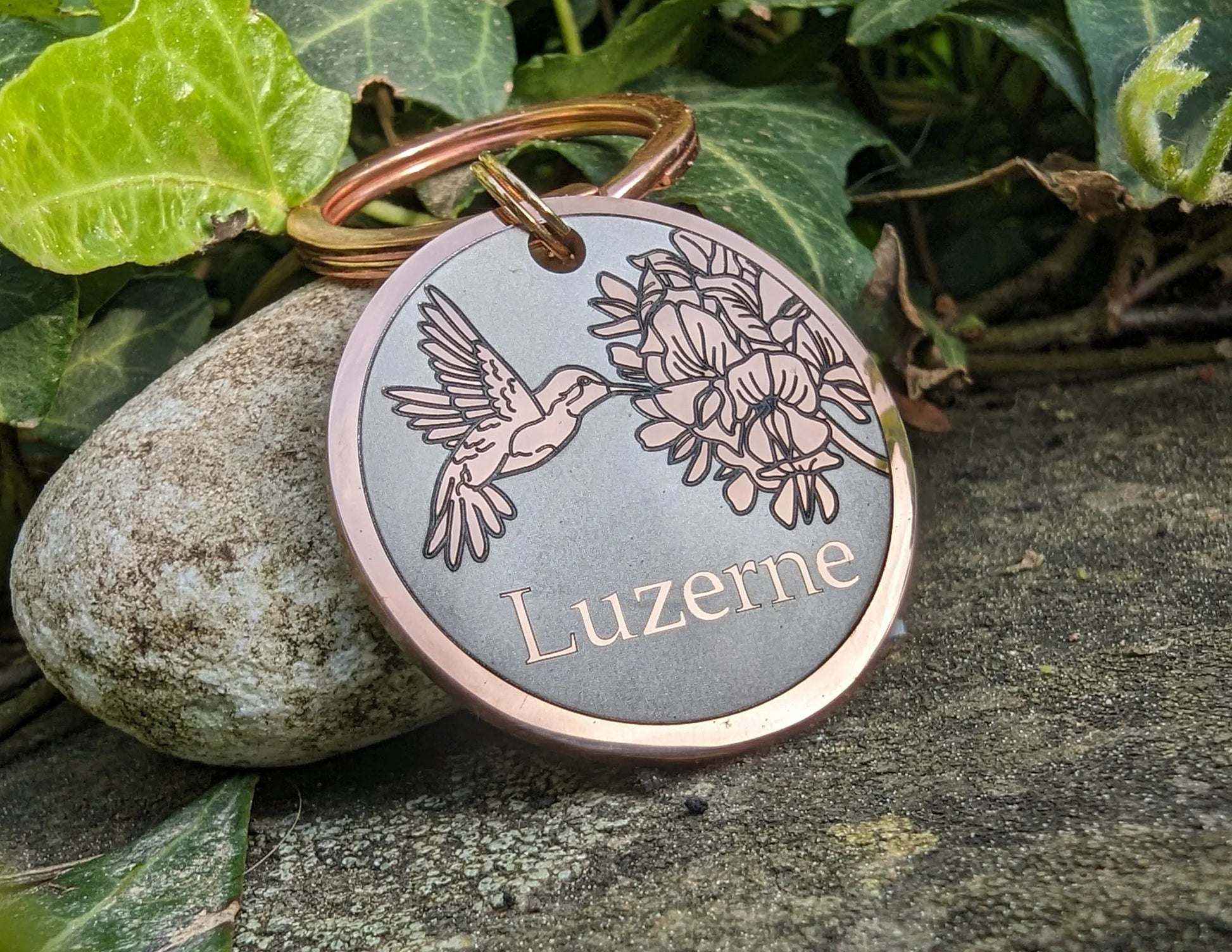 Hummingbird Design - Bark'n'Tag