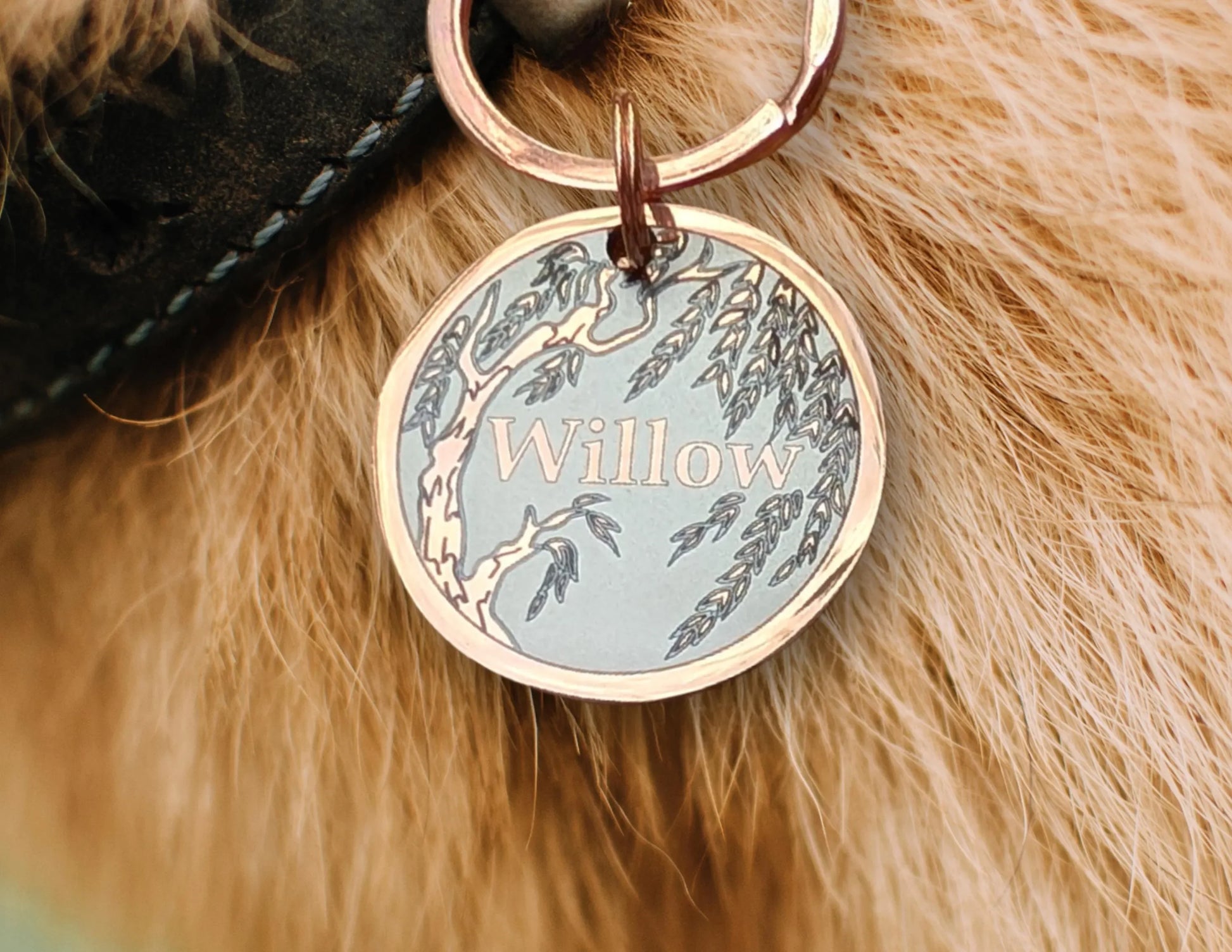 Willow Design - Bark'n'Tag