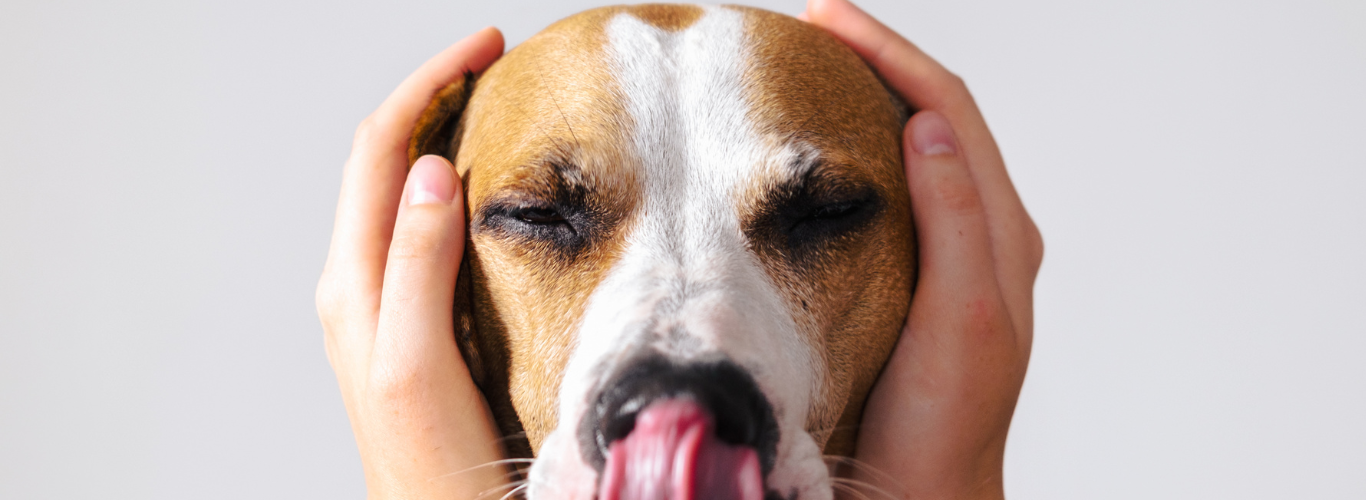 about.png__PID:e41cd13d-0fb8-4a20-9c2f-5058fdb7ef0e