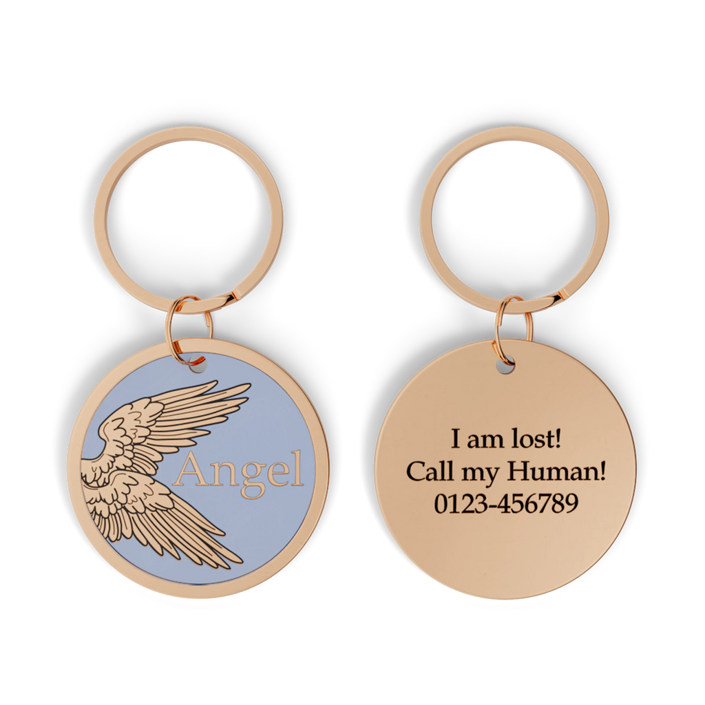 Angel Design