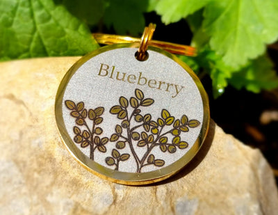 Blueberry Design - Bark'n'Tag