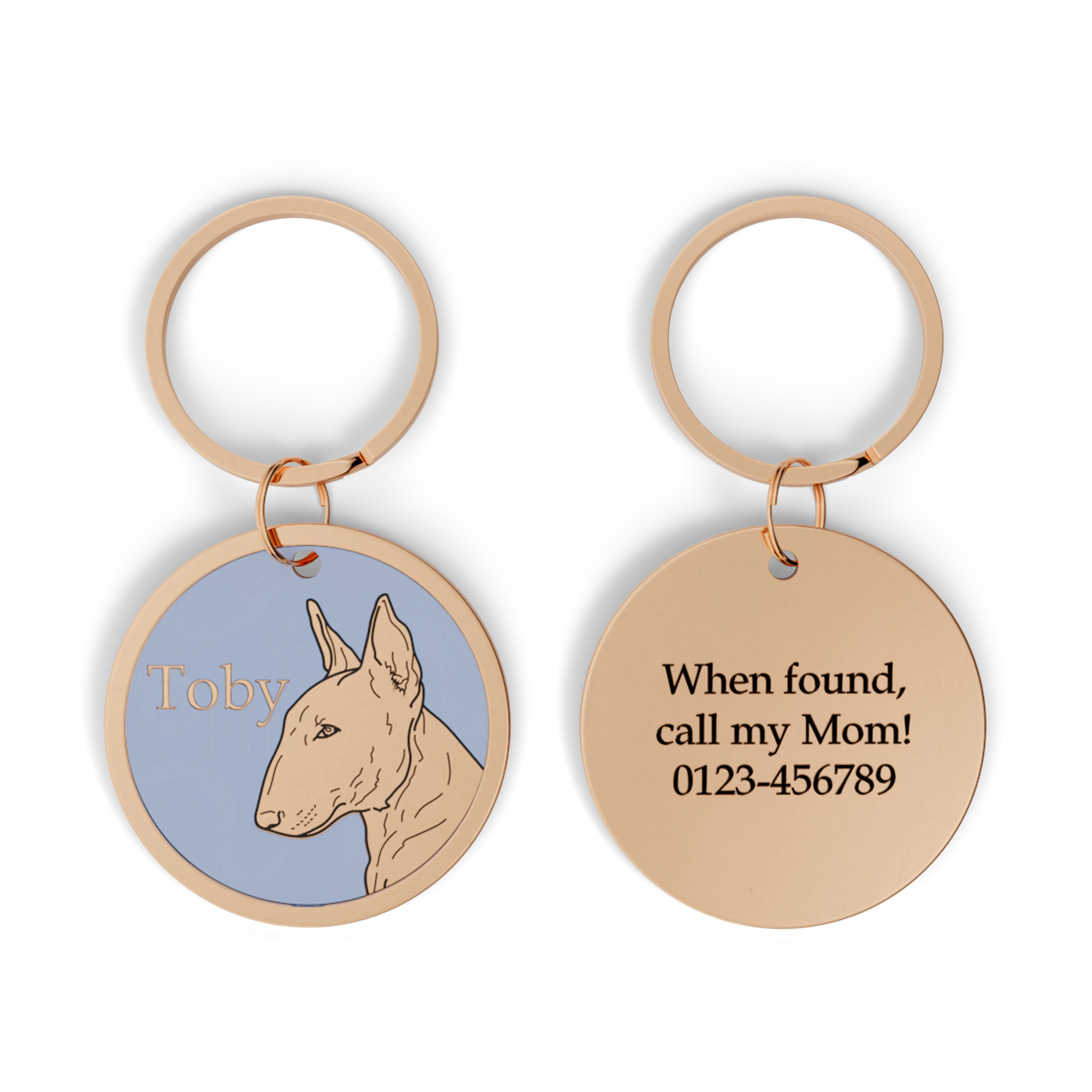 Bullterrier - Profil Design