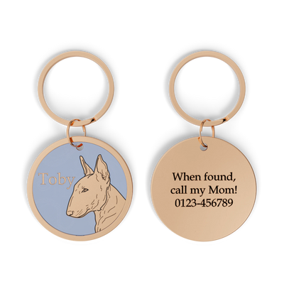 Bullterrier - Profil Design