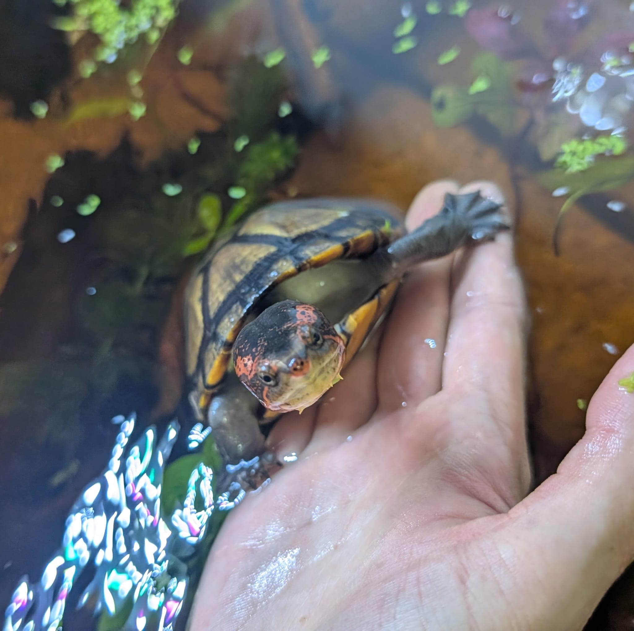 c7df9140-9d43-4e47-a4e3-8fe5145c9e2f.jpg__PID:dd88afa6-9817-4443-88d0-c4257198b65b