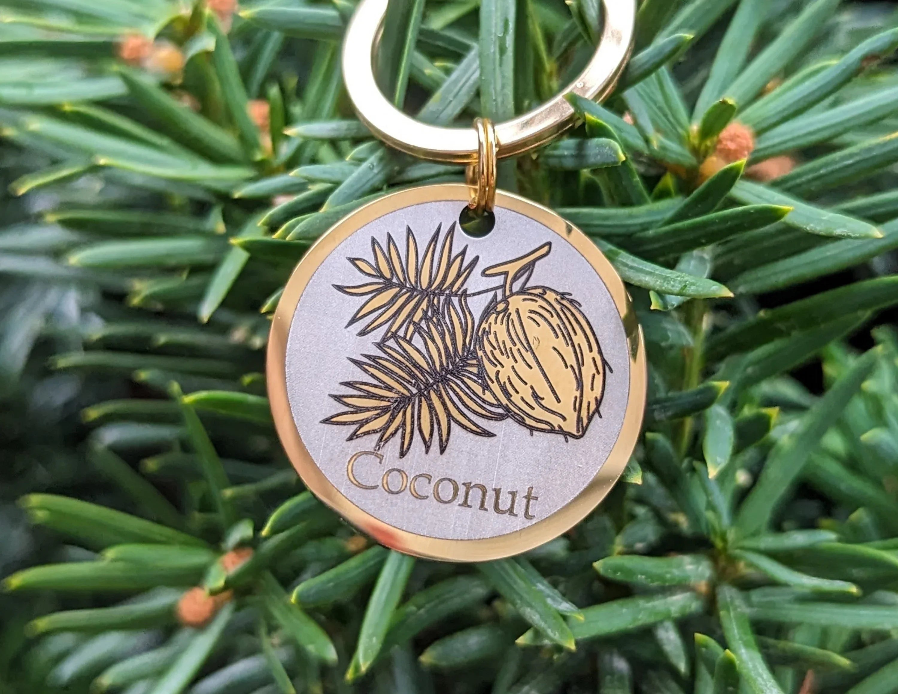 Coconut Design - Bark'n'Tag