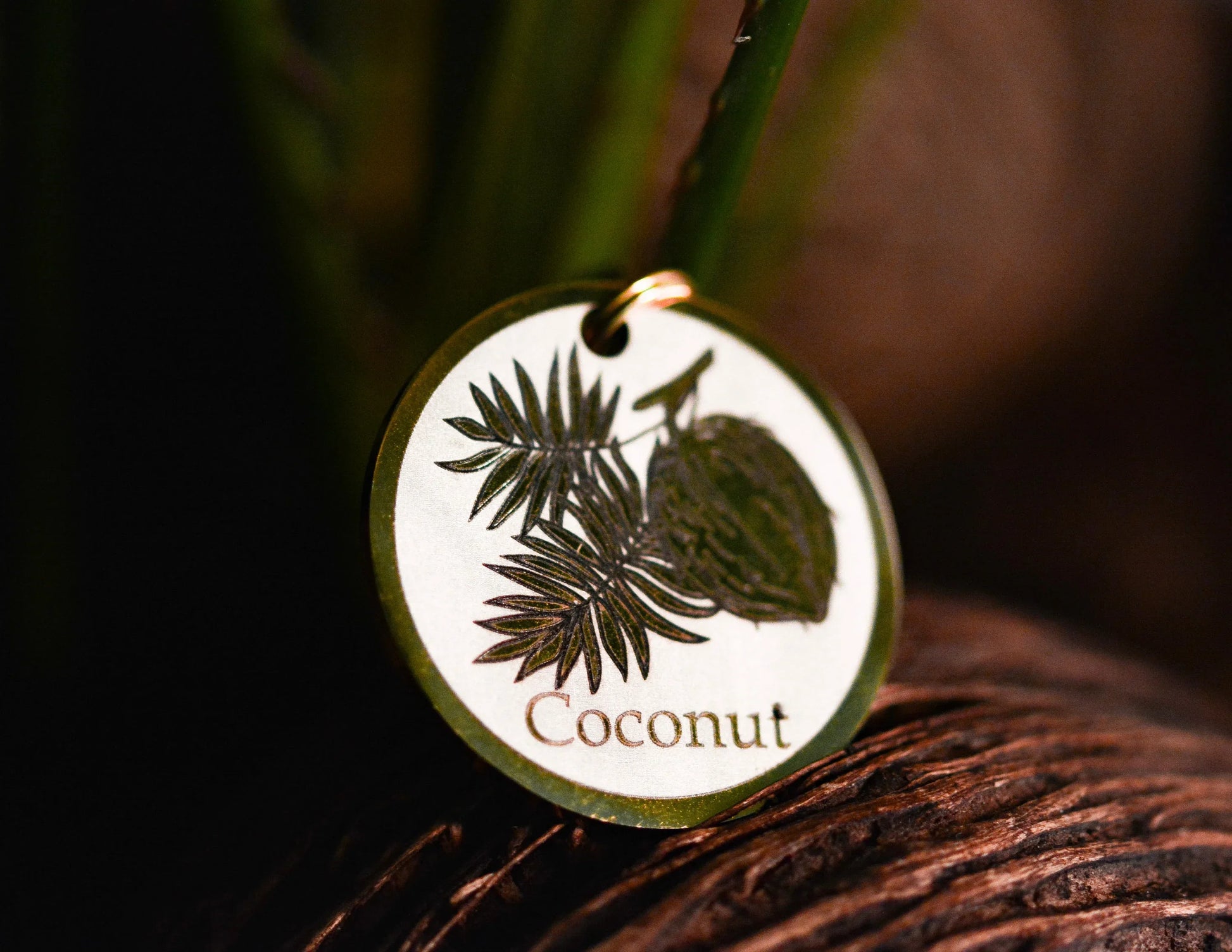 Coconut Design - Bark'n'Tag