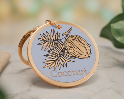 Coconut Design
