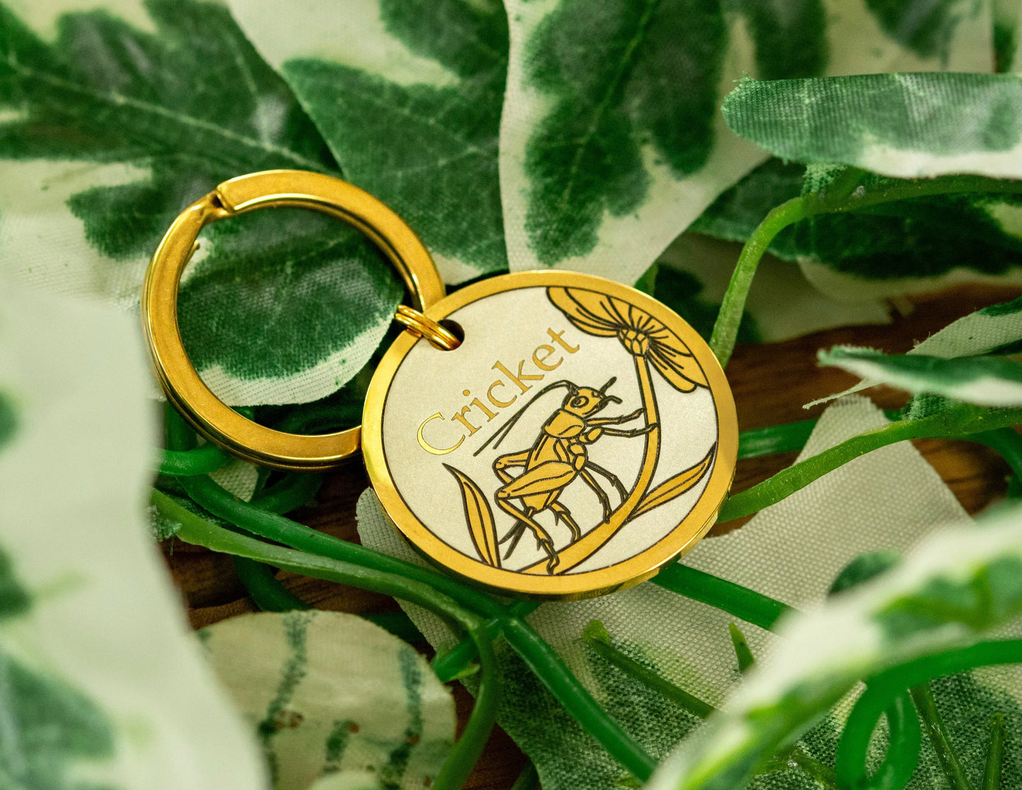 Cricket Design - Bark'n'Tag