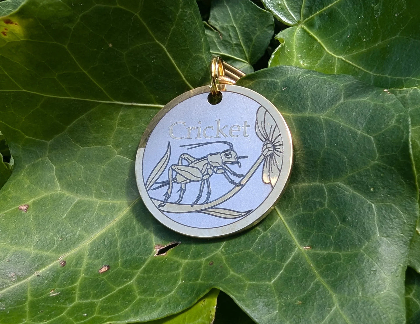 Cricket Design - Bark'n'Tag