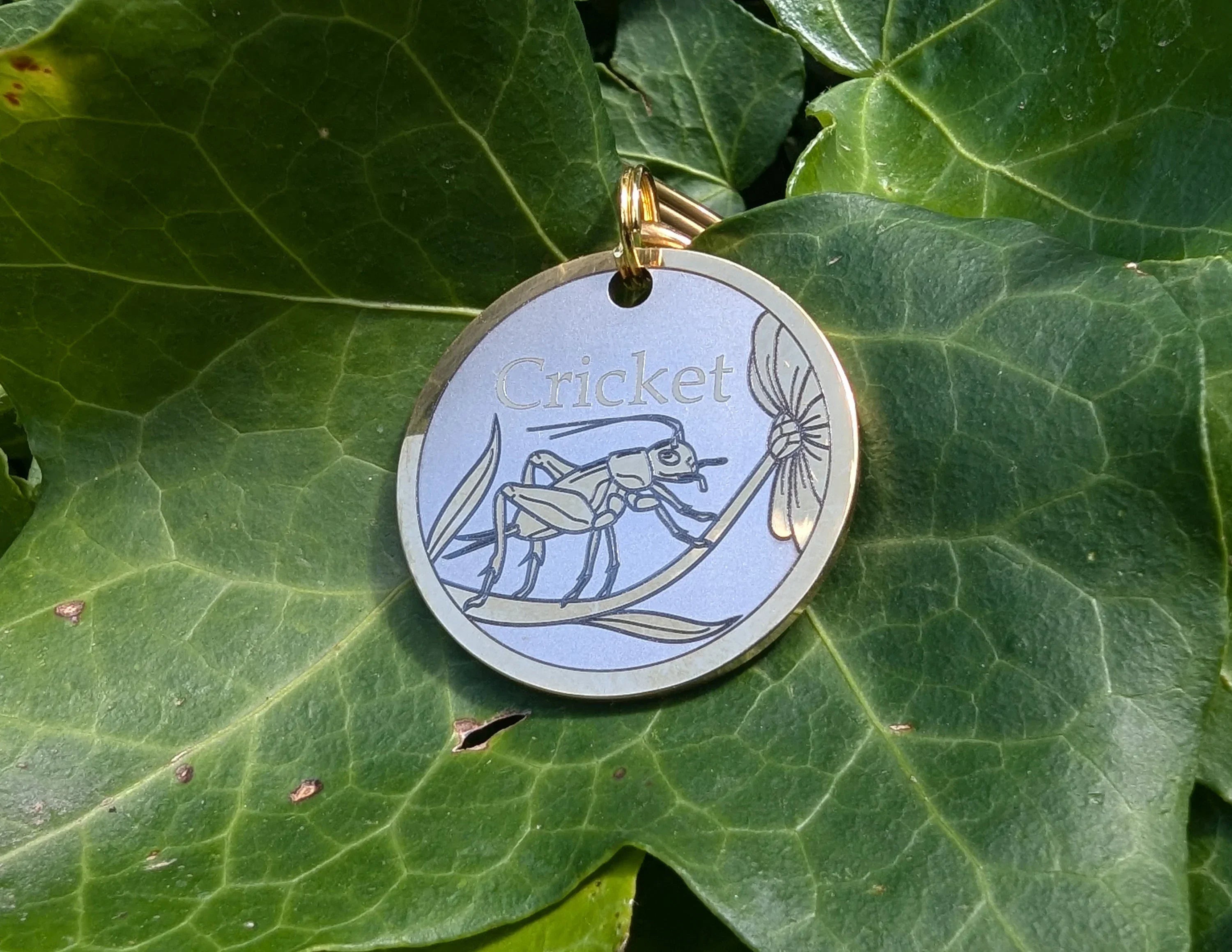 Cricket Design - Bark'n'Tag