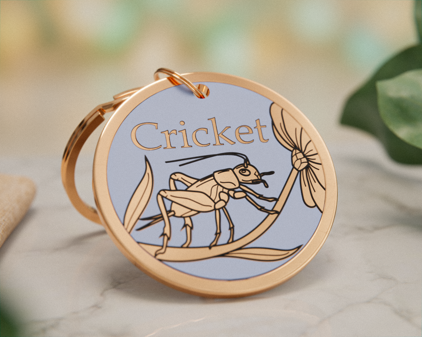 Cricket Design