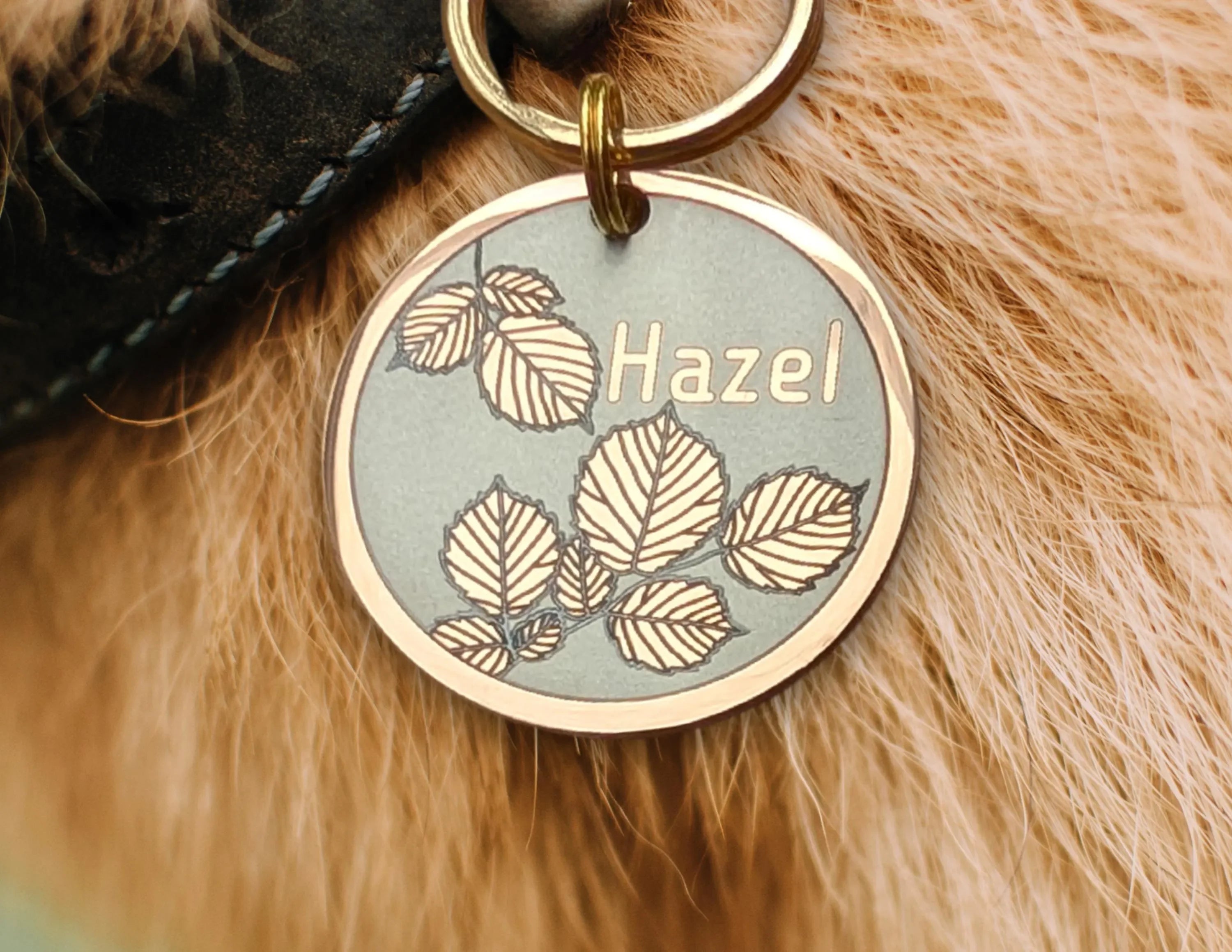 Hazel Design - Bark'n'Tag