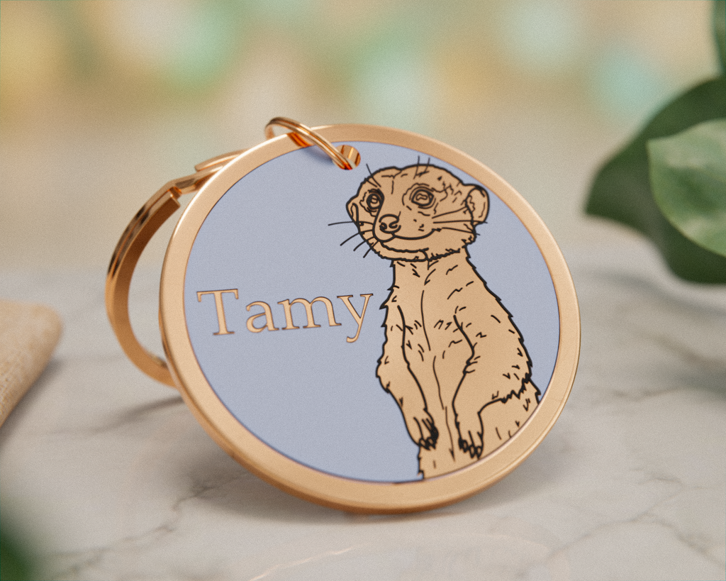 Meerkat Design