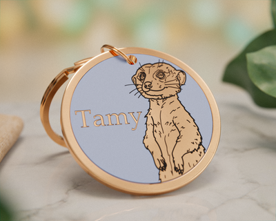 Meerkat Design