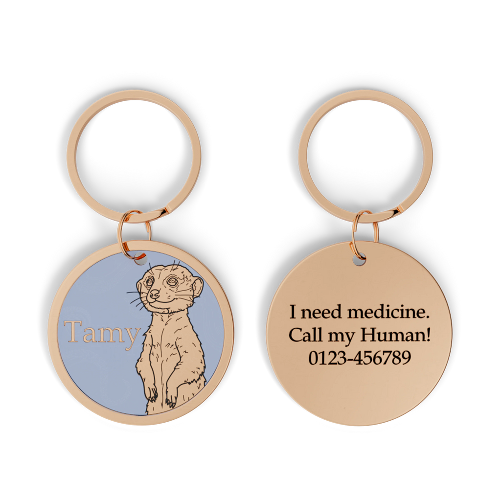 Meerkat Design