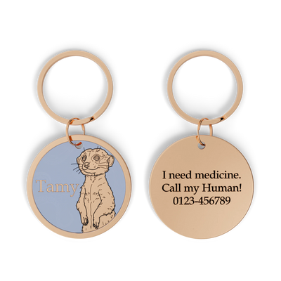Meerkat Design