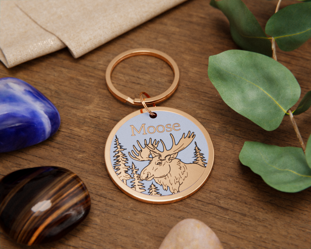 Moose Design