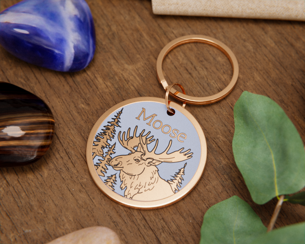 Moose Design