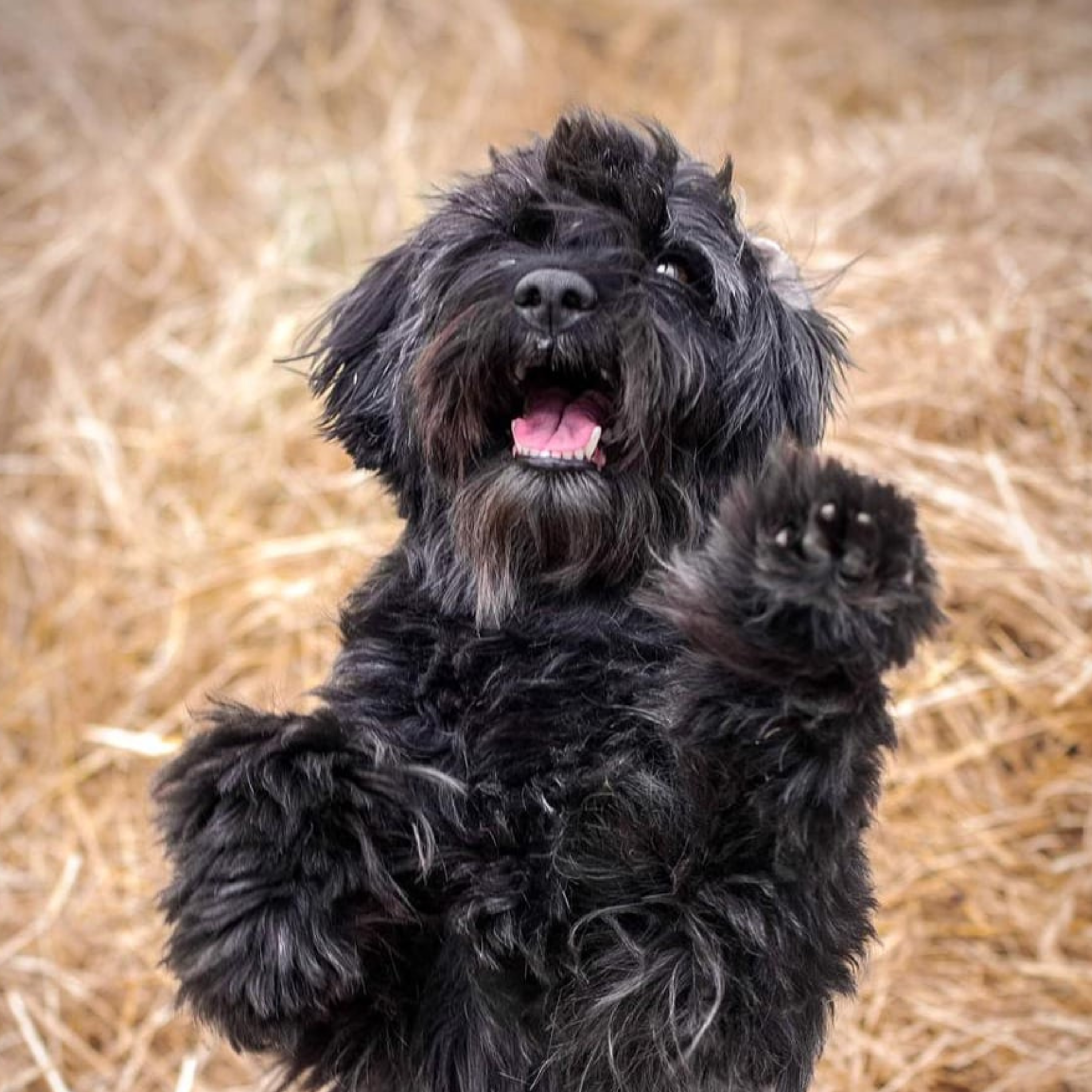 nori1.png__PID:f3e0a7fb-55f4-456e-ba24-1fde1cfba14e