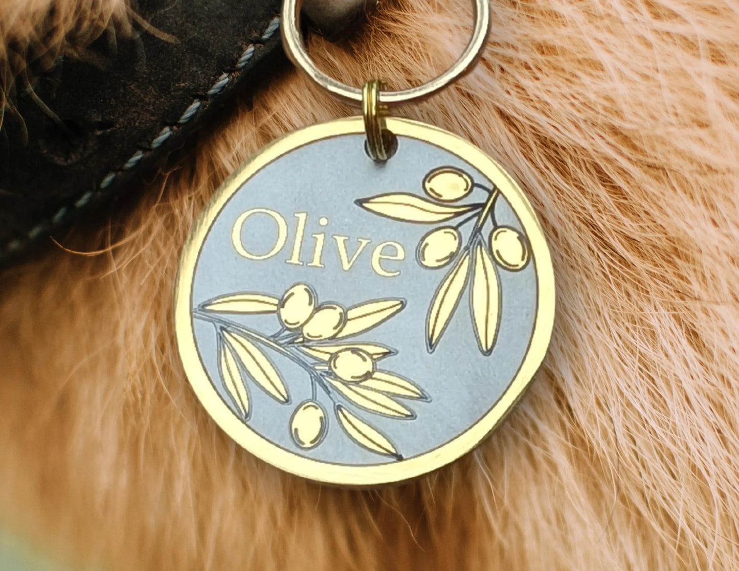 Olive Design - Bark'n'Tag