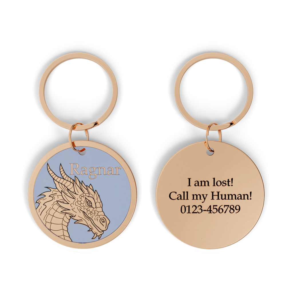 Drachen Design