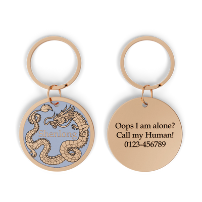 Asia Dragon Design