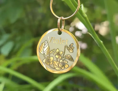 Willow + Viola Bundle