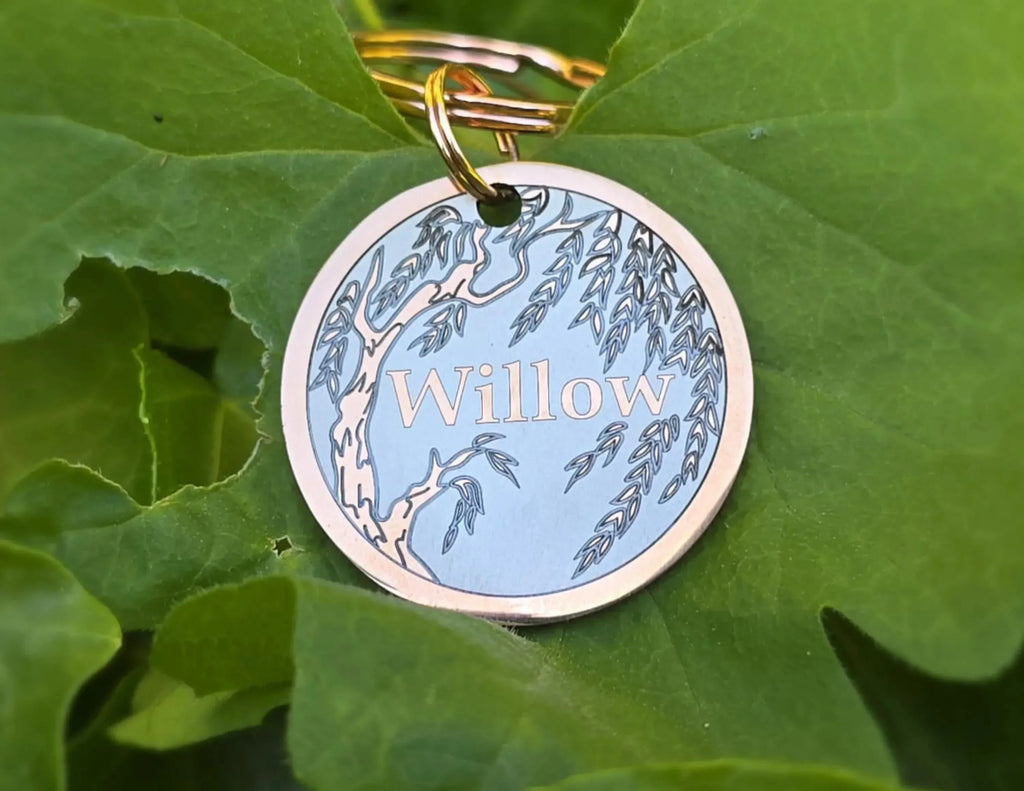 Willow + Viola Bundle